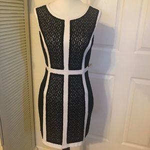 Gianni Bini Dress Size S